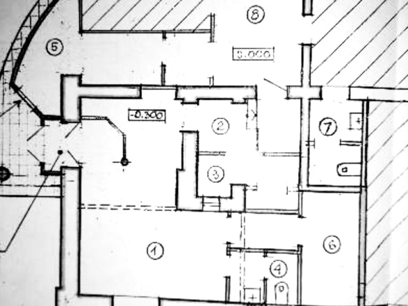 Operating cafe-store, Victory Square area, 50 m2