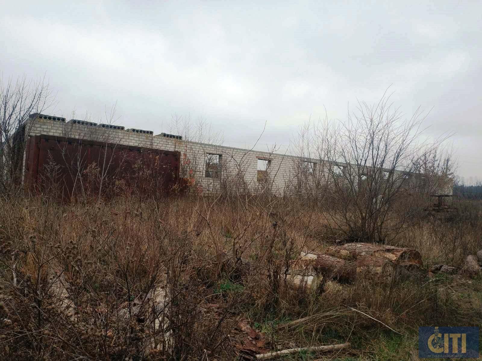 Пилорама в Андрушевском районе, 60 сот Пилорама в Андрушівському районі, 60 сот