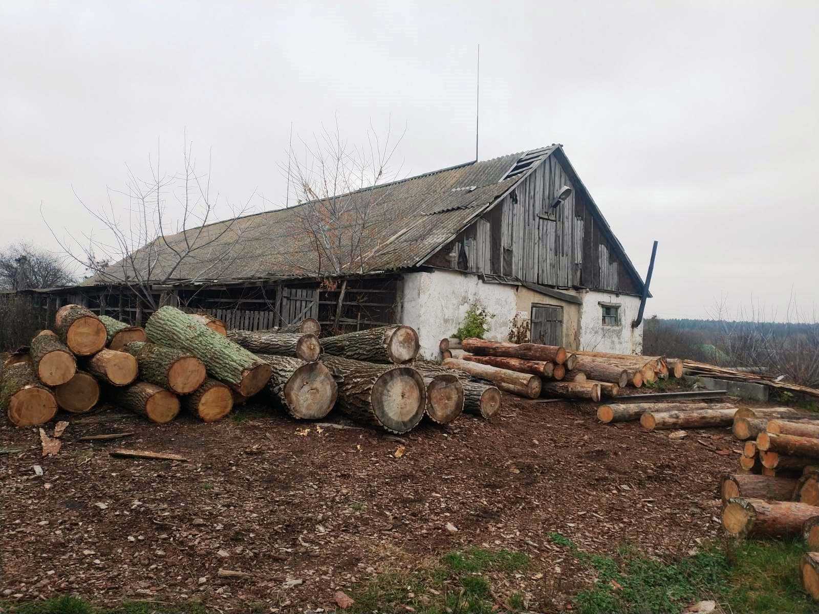 Пилорама в Андрушевском районе, 60 сот