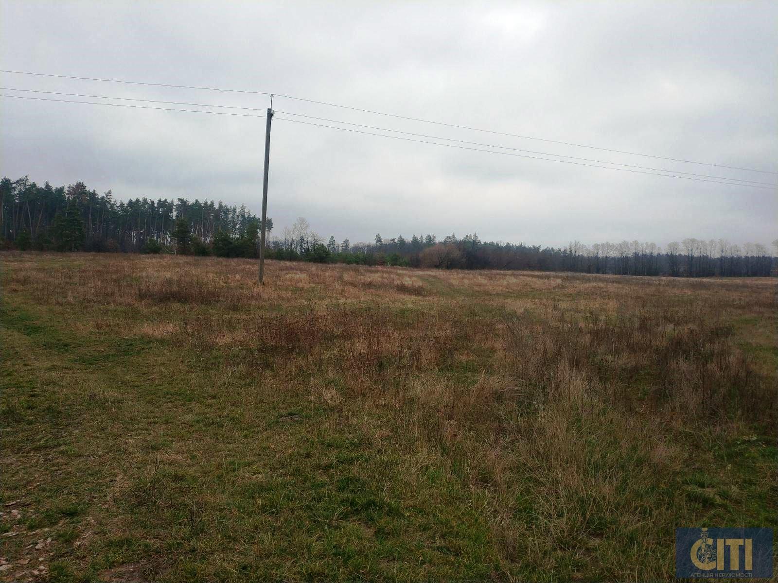 Пилорама в Андрушевском районе, 60 сот Пилорама в Андрушівському районі, 60 сот