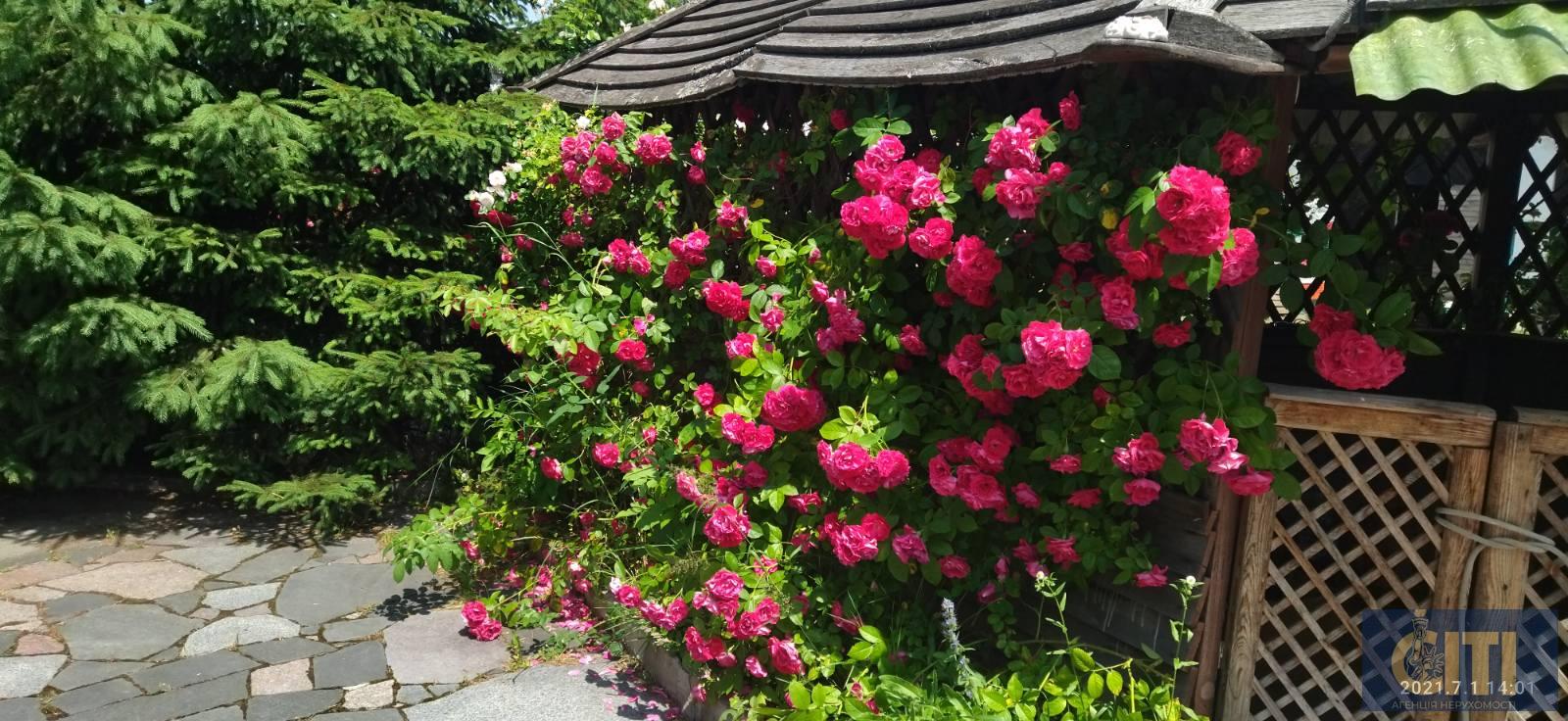 Производственный комплекс в Станишовке, 2000 кв.м. Виробничий комплекс у Станишівці, 2000 кв.м.