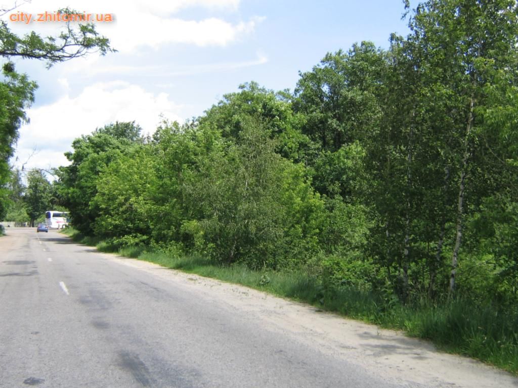 Land 15 km from Zhitomir, 2 hectares