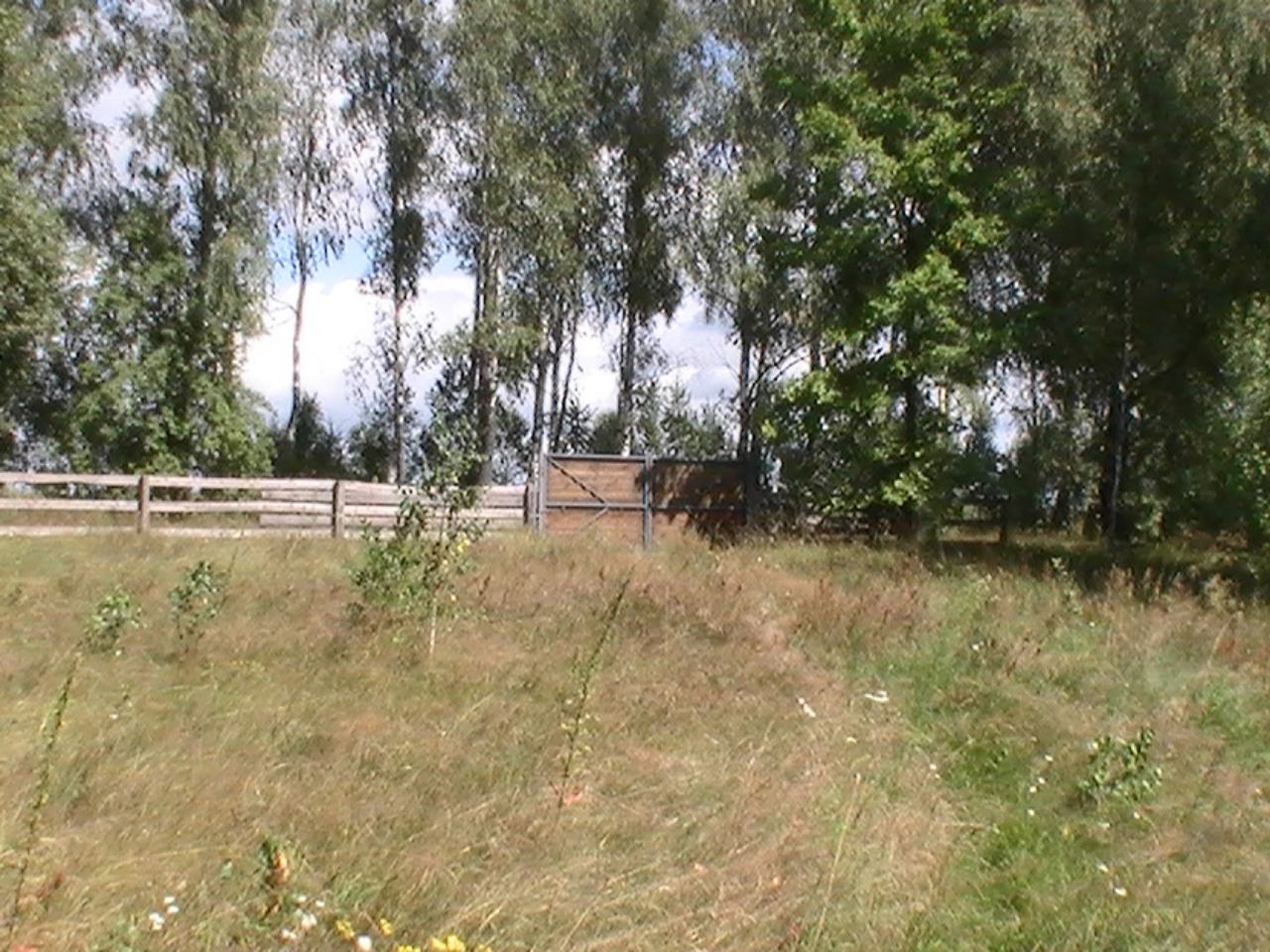 Land in Zhytomyr region, 2 hectares