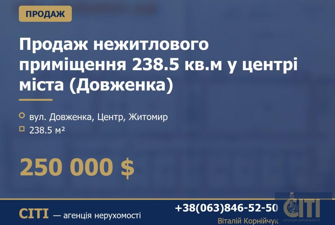 Продаж нежитлового приміщення 238.5 кв.м у центрі міста (Довженка)
