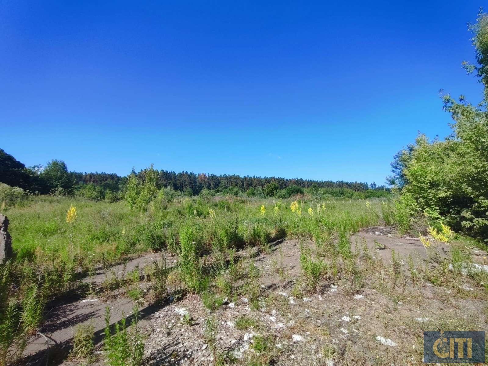 _viber_2025-07-01_13-45-34-624 Земельна ділянка 2,7 Га + приміщення 800 кв.м. у Станишівці