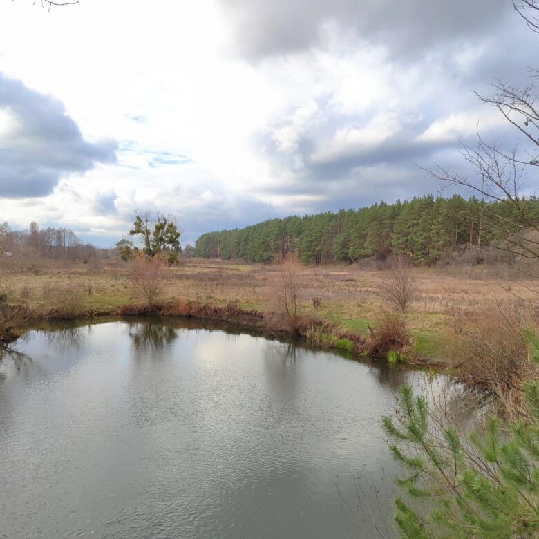 Ділянка на березі річки Коденка в Пряжево, 165 сот