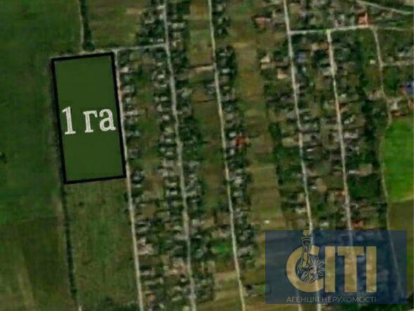 Продається перспективна земельна ділянка площею 1 га в с. Мамрин, Житомирська область.